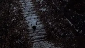 Задник до фильму"" #746621