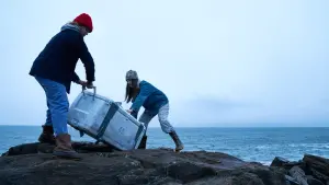 Задник до фильму"" #424408