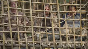 Задник до фильму"Рембо ІV" #268897