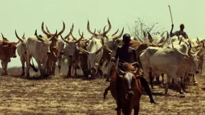 Задник до фильму"Тукі Букі" #724559