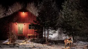 Задник до фильму"" #429117