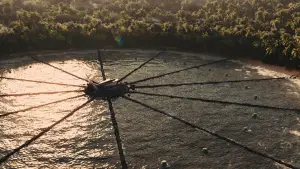 Задник до фильму"Голодні ігри: У вогні" #625090