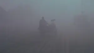 Задник до фильму"Йди та дивись" #930080