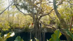 Задник до фильму"Underland" #769108