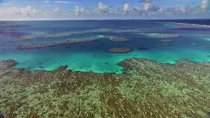 Задник до фильму"Дім" #435439