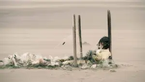 Задник до фильму"The Curse" #774978