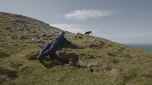 Задник до фильму"Ultima Thule" #757144