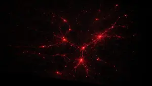 Задник до фильму"Serena" #769988