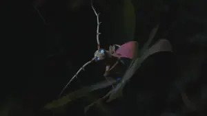 Задник до фильму"" #482089