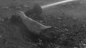 Задник до фильму"Охоронець" #750544