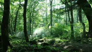 Задник до фильму"" #474927