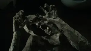 Задник до фильму"Після роботи" #791486