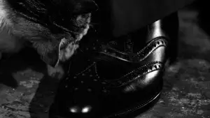 Задник до фильму"Третя людина" #699980