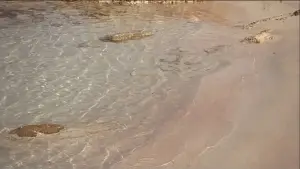 Задник до фильму"Червона пустеля" #775128