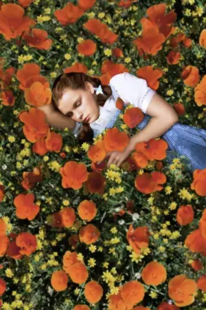 Постер до фильму"Чарівник країни Оз" #523936