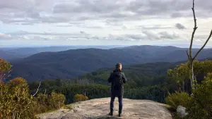 Задник до фильму"" #430476