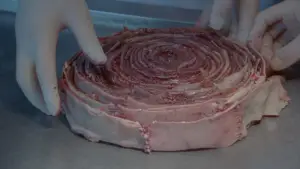 Задник до фильму"自殺サークル" #797783