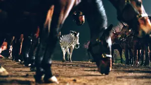 Задник до фильму"" #500776