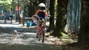 Задник до фильму"Диво" #601027