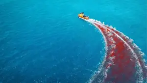 Задник до фильму"Небезпечна тварина" #552653