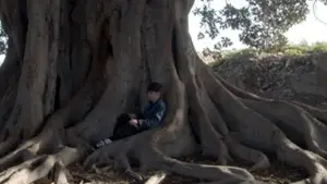 Задник до фильму"Raíces" #776465