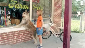 Задник до фильму"" #467116