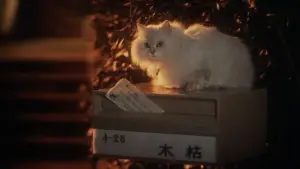 Задник до фильму"" #731699