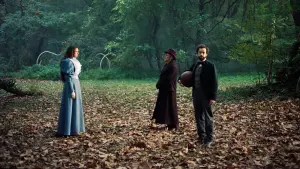 Задник до фильму"Бідолашні створіння" #160928