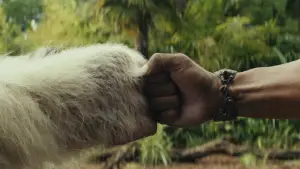 Задник до фильму"Ремпейдж" #598880