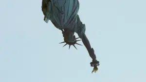 Задник до фильму"Бруталіст" #610733