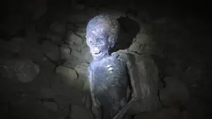 Задник до фильму"" #541966