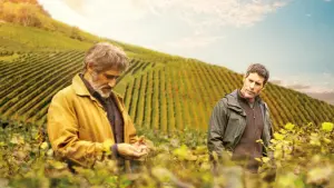 Задник до фильму"" #499942