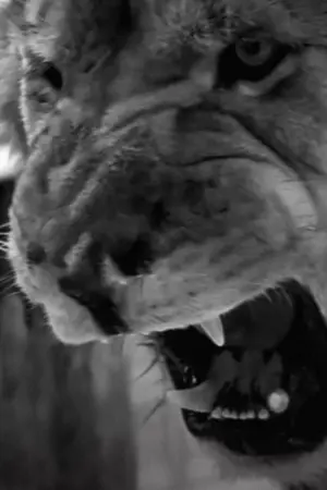 Постер до фильму"" #465843