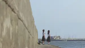 Задник до фильму"セーラー服 百合族" #928614