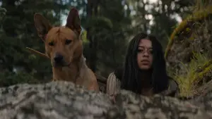 Задник до фильму"Здобич" #626124