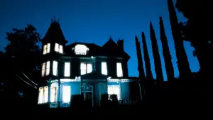 Задник до фильму"" #303295