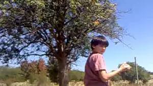 Задник до фильму"голишар" #797720