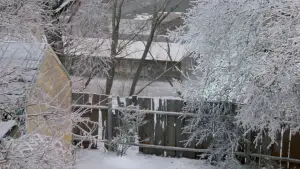 Задник до фильму"Різдвяна історія" #732049