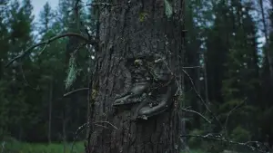 Задник до фильму"Потяг у снах" #514906