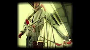 Задник до фильму"Failed Exit" #769408