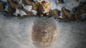 Задник до фильму"Муфаса: Король Лев" #557138