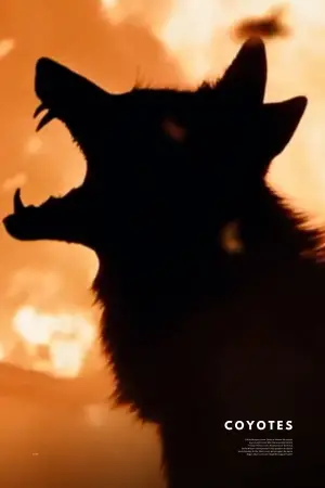 Постер до фильму"День койота" #550076