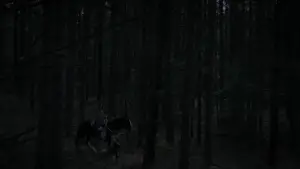 Задник до фильму"Відьма" #600261