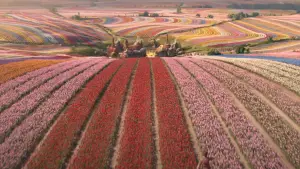 Задник до фильму"" #529485