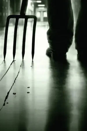 Постер до фильму"Шалені" #445047