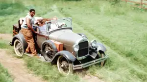 Задник до фильму"Смажені зелені помідори" #809844