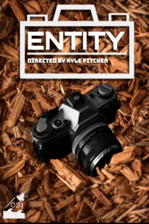 ENTITY
