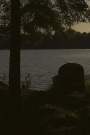 Постер до фильму"Falcon Lake" #760043