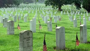 Задник до фильму"" #452474