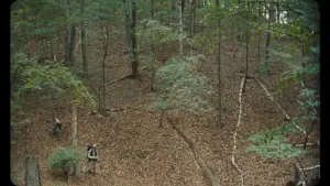 Задник до фильму"" #503553